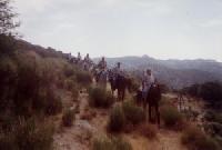 Las mejores ofertas de El Ronzal Tocon de Quentar